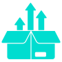 Stock Issuance